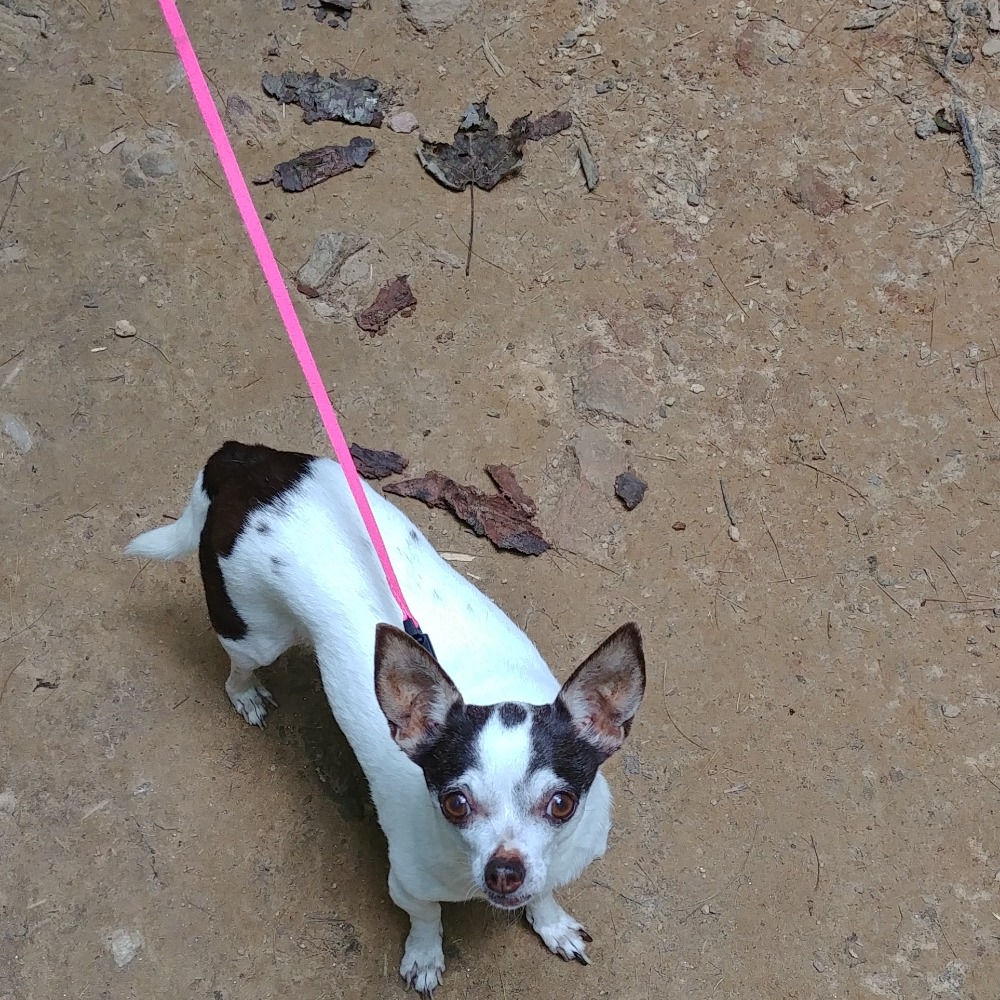 Meet your Posher, Ann mari